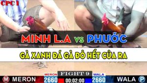 Trận 9 CPC1 21/10/2024 - Gà Anh Phước Hạ Gà Hiệu Anh Minh Long An