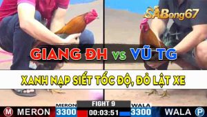 Trận 9 CPC3 07/10/2024 - Gà Anh Vũ Tiền Giang Nạp Siết Tốc Độ