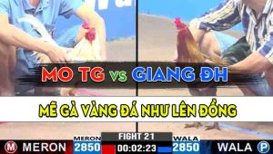 Trận 21 CPC3 02/11/2024 - Gà Anh Giang Đức Hòa Nạp 1 Cước Lụm Tiền