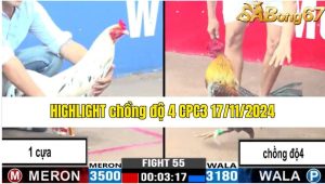 Highlight Chồng Độ 4 CPC3 17/11/2024