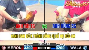 TRẬN 10 CPC3 16/11/2024-Xanh Bị Hạ Knock Out