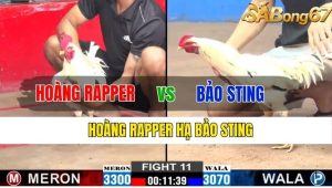 TRẬN 11 CPC2 13/11/2024 - Hoàng Rapper Hạ Bảo Sting