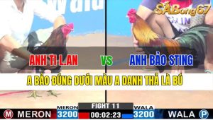 TRẬN 11 CPC2 20/11/2024-Bảo Sting Thả Là Bú