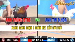 TRẬN 11 CPC3 17/11/2024-Xanh Canh Chặn 1 Chân Kết Liễu Đối Thủ