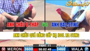 Trận 11 CPC3 9/11/2024-Anh Châu Quá Đẳng Cấp Hạ Idol Ra Sting