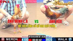 Trận 12 CPC1 2/11/2024-Mẽ Hiều Lông Nổ Cổ Đen Phó Phản