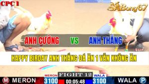 Trận 12 CPC1 5/11/2024-Happy Birthday Anh Thắng Đá Ăn 1 Vẫn Không Ăn