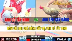 Trận 12 CPC3 8/11/2024-Đám Cú Idol Quá Đẳng Cấp Hạ Anh Cò Tây Ninh