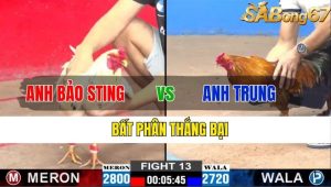 TRẬN 13 CPC2 13/11/2024-Bất Phân Thắng Bại