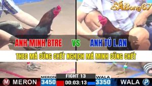 TRẬN 13 CPC3 15/11/2024-Theo Má Cũng Chết, Nghịch Má Cũng Chết