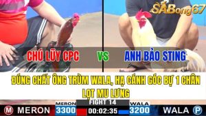 Trận 14 CPC3 9/11/2024-Đúng Chất Ông Trùm Wala