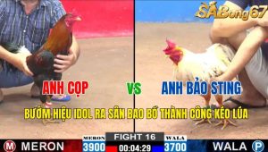 Trận 16 CPC2 3/11/2024-Bướm Hiệu Idol Ra Sân Bao Bồ Thành Công Kéo Lúa