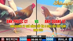 Trận 16 CPC3 1/11/2024 - Anh Quang VT Quá Đẳng Cấp Ăn 3 Con Liên Tiếp Lụm 1000$