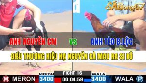 TRẬN 16 CPC3 20/11/2024-Điều Thương Hiệu Hạ Anh Nguyên Ra Si Rô