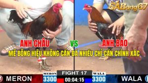 Trận 17 CPC2 1/11/2024 - Mẽ Bông Hiệu Không Cần Đà Nhiều Chỉ Cần Chính Xác