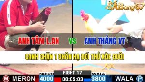 TRẬN 17 CPC3 13/11/2024- Xanh Canh Chặn 1 Chân Hạ Đối Thủ Xòe Đuôi