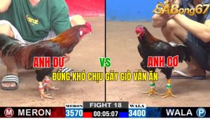 Trận 18 CPC2 1/11/2024 - ĐÚNG KHÓ CHỊU GÃY GIÒ VẪN ĂN