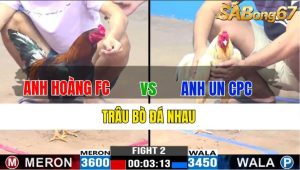 TRẬN 2 CPC3 19/11/2024-Xanh Nài Gà Quá Đỉnh