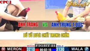 Trận 21 CPC1 11/11/2024-Bú Vô Bươi Chết Trong Chân