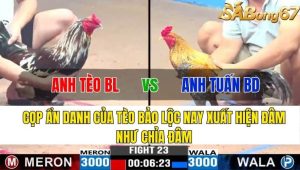 TRẬN 23 CPC3 13/11/2024-Tèo Bảo Lộc Mang Hàng Độc