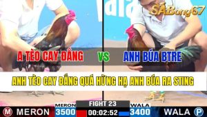 Trận 23 CPC3 6/11/2024-Anh Tèo Cay Đắng Quá Hừng Hạ Anh Búa Ra Sting