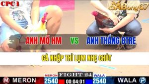 TRẬN 24 CPC1 12/11/2024 - Gà Nhập Thì Lụm Nhẹ Chút