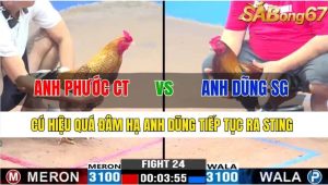 TRẬN 24 CPC3 17/11/2024-Cú Hiệu Quá Đâm,Anh Dũng Nối Dài Thất Bại