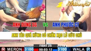 Trận 25 CPC3 9/11/2024-Anh Tèo Có Chân Qua Hừng Có Chân Xạo Lờ Cứu Chủ