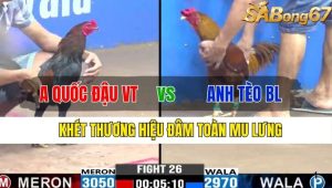 TRẬN 26 CPC3 13/11/2024-Khét Thương Hiệu Đâm Toàn Mu Lưng