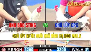 Trận 3 CPC3 9/11/2024-Chú Lũy Nước Nuôi Quá Đỉnh Hạ Idol Wala