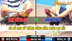 Trận 30 CPC3 10/11/2024-Gà Đỏ BAo Bồ Thành Công