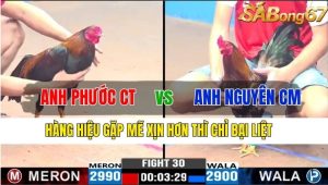 TRẬN 30 CPC3 16/11/2024-Hàng Hiệu Gặp Mẽ Xịn Hơn Thì Chỉ Bại Liệt