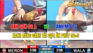 TRẬN 30 CPC3 19/11/2024-Xanh Gồng Gánh Tải Cựa Ăn Phút 90 + 5