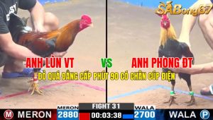 Trận 31 CPC3 1/11/2024-Đỏ Quá Đẳng Cấp Phút 90 Có Chân Cúp Điện