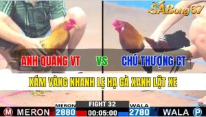 TRẬN 32 CPC3 18/11/2024-Xám Vàng Nhanh Lẹ Hạ Gà Xanh Lật Xe