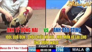 Trận 33 CPC2 3/11/2024-Idol Quá Xui,Chơi Chiêu Xả Xui.May Mắn Về Lại Cho Ông Trùm Wala