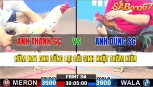 TRẬN 34 CPC3 17/11/2024-Hôm Nay Anh Dũng Lại Đãi Sinh Nhật