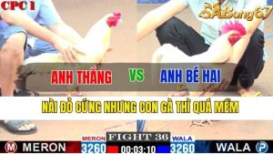 TRẬN 36 CPC1 12/11/2024 -Nài Đỏ Cứng Nhưng Con Gà Thì Quá Mềm