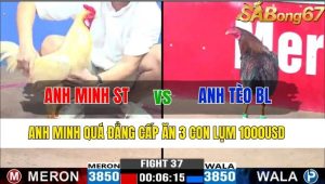 TRẬN 37 CPC3 15/11/2024-Anh Minh Quá Đẳng Cấp