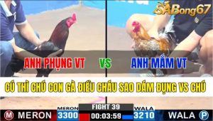 TRẬN 39 CPC3 18/11/2024-Cháu Mà Dám Va Vô Chú