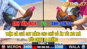 Trận 4 CPC1 5/11/2024-Quả Gà Quá Cay Đắng Cho Chủ Đỏ,Ăn Tới Nơi Mà Tốc Chạy La Miệng