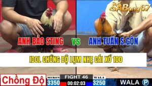 Trận 46 CPC2 6/11/2024-Idol Chồng Độ Lụm Nhẹ Cái Xổ 100