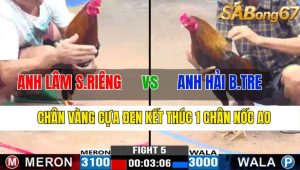 Trận 5 CPC3 9/11/2024-Chân Vàng Cựa Đen Kết Thúc 1 Chân Nốc Ao