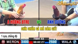 TRẬN 53 CPC3 14/11/2024-Chín Chấm Gà Mà Dám Giết