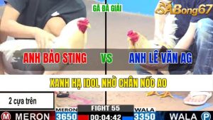 Trận 55 CPC3 9/11/2024-Xanh Hạ Idol Nhờ Chân Nốc Ao