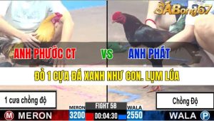 TRẬN 58 CPC3 26/11/2024-Đỏ 1 Cựa Đá Xanh Như Con