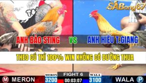 Trận 6 CPC1 8/11/2024-Theo Cú Thì Win 100% Không Có Đường Thua