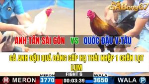 Trận 6 CPC3 8/11/2024-Gà Anh Đậu Quá Đẳng Cấp Hạ Thái Nhập 1 Chân Lọt Lụm