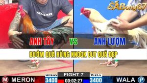 TRẬN 7 CPC2 15/11/2024-Bướm Quá Hừng Knock Out Quá Đẹp