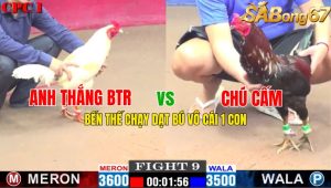 Trận 9 CPC1 2/11/2024-Biến Thế Chạy Dạt Vô Bú Cái 1 Con